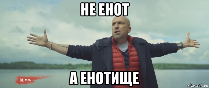 не енот а енотище, Мем Безлимитище