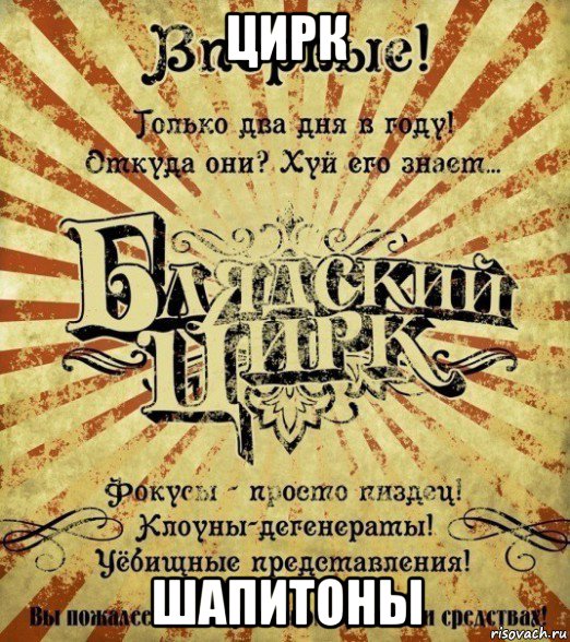 цирк шапитоны