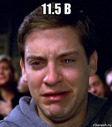 11.5 в 