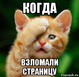 когда взломали страницу, Мем Больной ублюдок