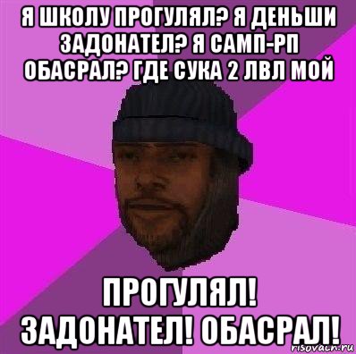 я школу прогулял? я деньши задонател? я самп-рп обасрал? где сука 2 лвл мой прогулял! задонател! обасрал!