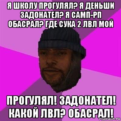 я школу прогулял? я деньши задонател? я самп-рп обасрал? где сука 2 лвл мой прогулял! задонател! какой лвл? обасрал!, Мем Бомж самп рп