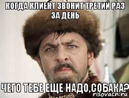 Когда клиент звонит третий раз за день Чего тебе еще надо,собака?, Комикс Царь