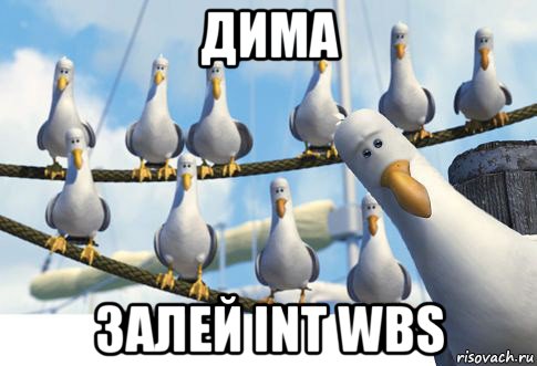дима залей int wbs