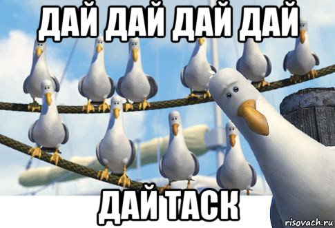 дай дай дай дай дай таск