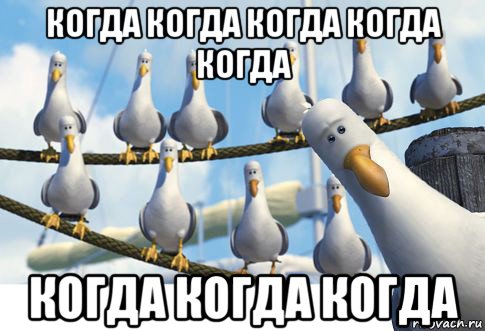 когда когда когда когда когда когда когда когда