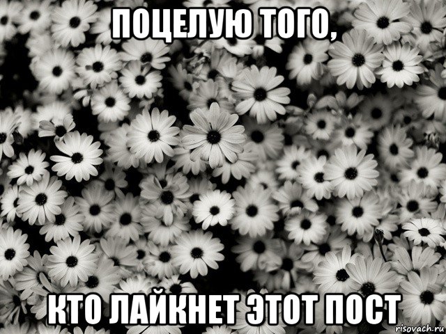 поцелую того, кто лайкнет этот пост