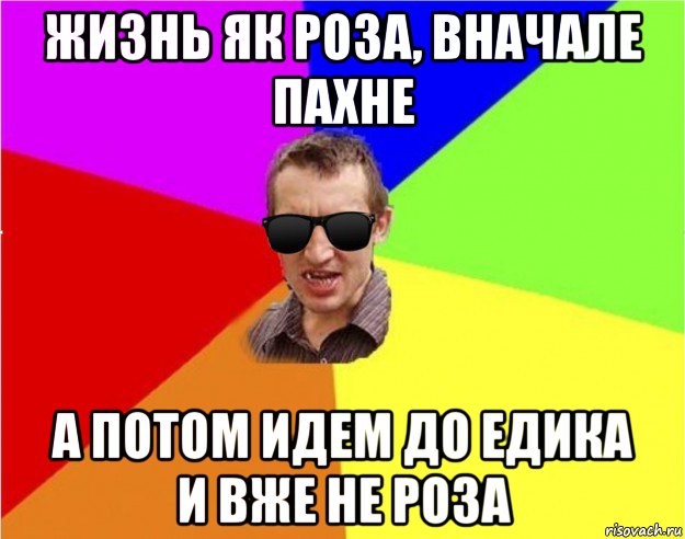 жизнь як роза, вначале пахне а потом идем до едика и вже не роза