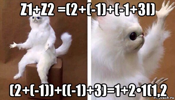 z1+z2 =(2+(-1)+(-1+3i) (2+(-1))+((-1)+3)=1+2•1(1,2, Мем Чучело кота