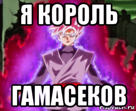 я король гамасеков