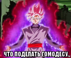  что поделать гомодесу