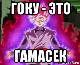 гоку - это гамасек