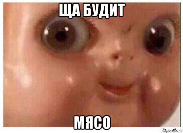 ща будит мясо, Мем Ща буит мясо