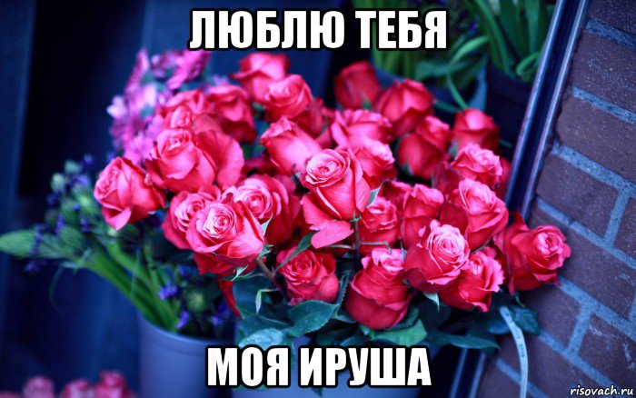 люблю тебя моя ируша, Мем Цветы