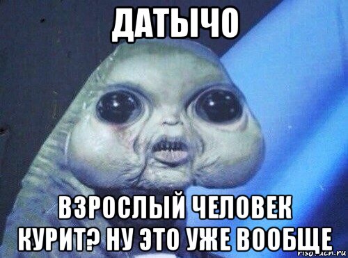 датычо взрослый человек курит? ну это уже вообще
