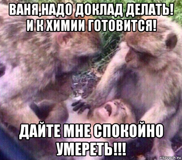ваня,надо доклад делать! и к химии готовится! дайте мне спокойно умереть!!!