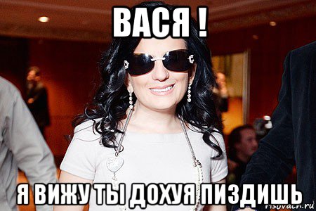 вася ! я вижу ты дохуя пиздишь, Мем Диана Гурцкая