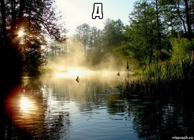 д 
