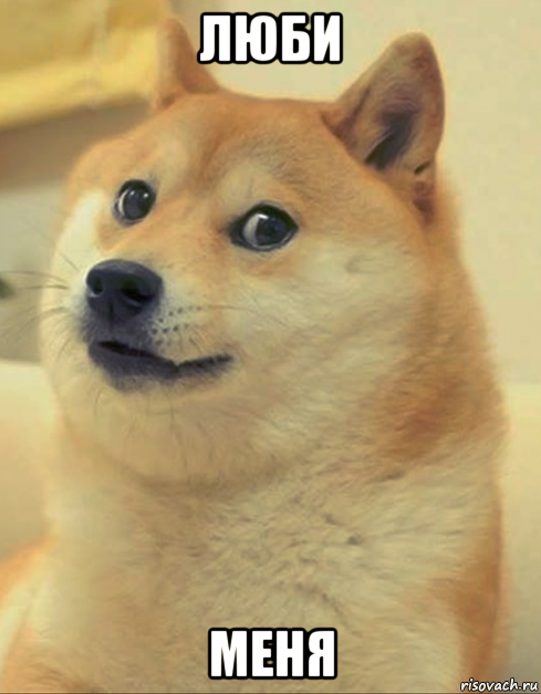 люби меня, Мем doge woof