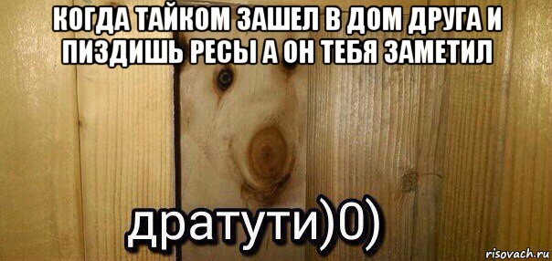 когда тайком зашел в дом друга и пиздишь ресы а он тебя заметил , Мем  Дратути