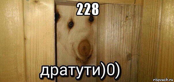 228 , Мем  Дратути