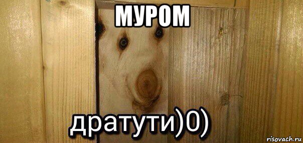 муром , Мем  Дратути