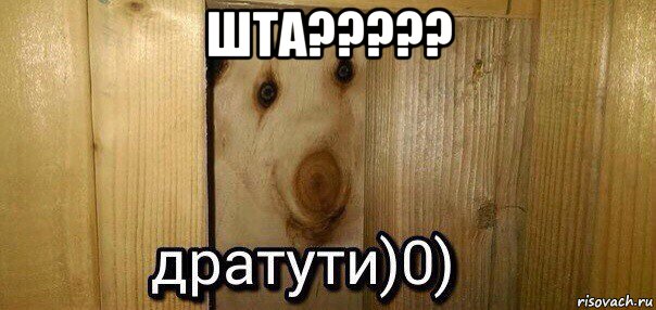 шта????? , Мем  Дратути