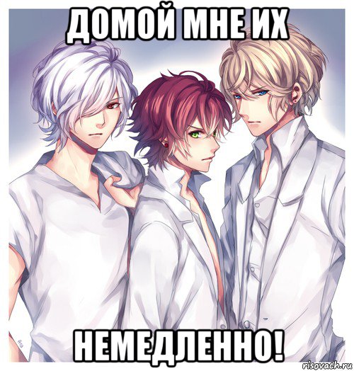 домой мне их немедленно!