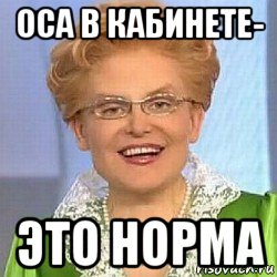 оса в кабинете- это норма, Мем ЭТО НОРМАЛЬНО