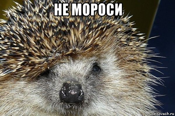 не мороси 