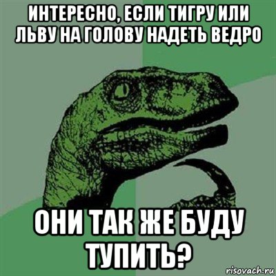 интересно, если тигру или льву на голову надеть ведро они так же буду тупить?, Мем Филосораптор