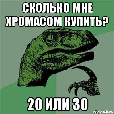 сколько мне хромасом купить? 20 или 30, Мем Филосораптор