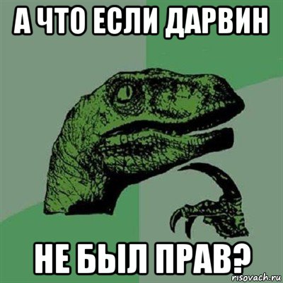 а что если дарвин не был прав?, Мем Филосораптор