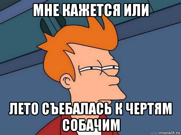 мне кажется или лето съебалась к чертям собачим, Мем  Фрай (мне кажется или)