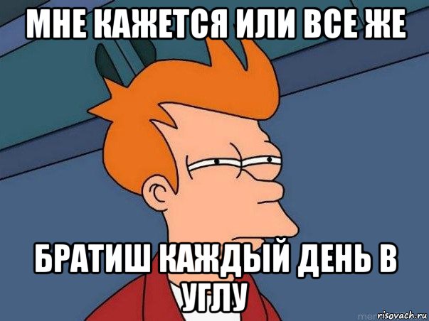 мне кажется или все же братиш каждый день в углу, Мем  Фрай (мне кажется или)