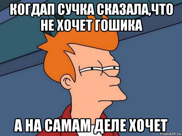 когдап сучка сказала,что не хочет гошика а на самам деле хочет, Мем  Фрай (мне кажется или)