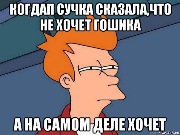 когдап сучка сказала,что не хочет гошика а на самом деле хочет, Мем  Фрай (мне кажется или)