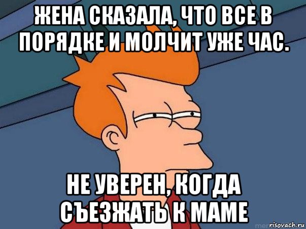 жена сказала, что все в порядке и молчит уже час. не уверен, когда съезжать к маме, Мем  Фрай (мне кажется или)