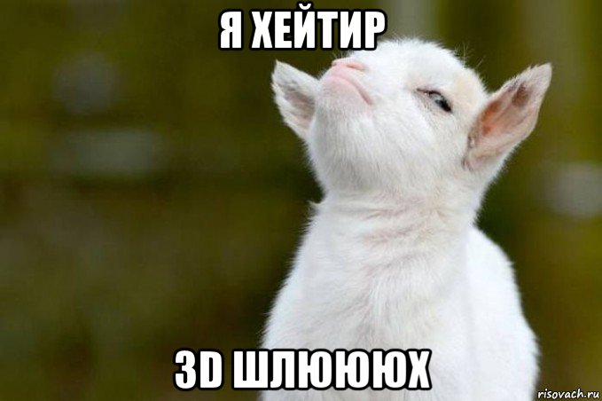 я хейтир 3d шлюююх, Мем  Гордый козленок