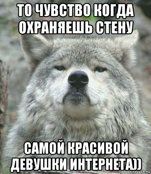 то чувство когда охраняешь стену самой красивой девушки интернета)), Мем    Гордый волк