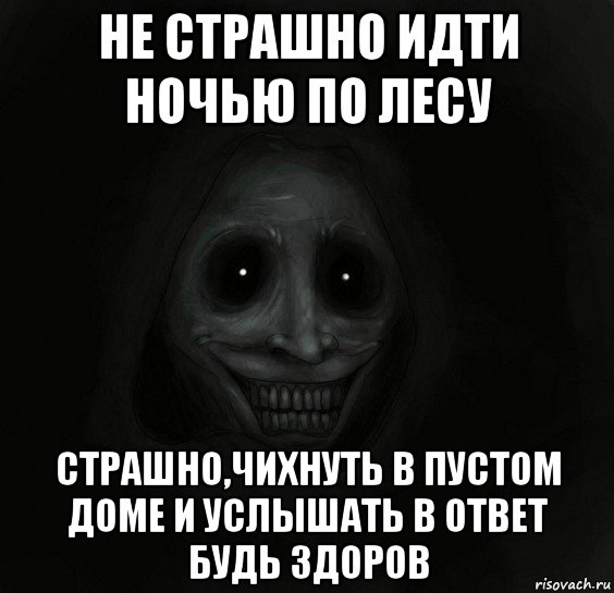 не страшно идти ночью по лесу страшно,чихнуть в пустом доме и услышать в ответ будь здоров, Мем Ночной гость