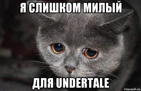 я слишком милый для undertale, Мем  Грустный кот