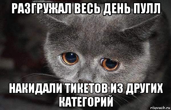 разгружал весь день пулл накидали тикетов из других категорий, Мем  Грустный кот