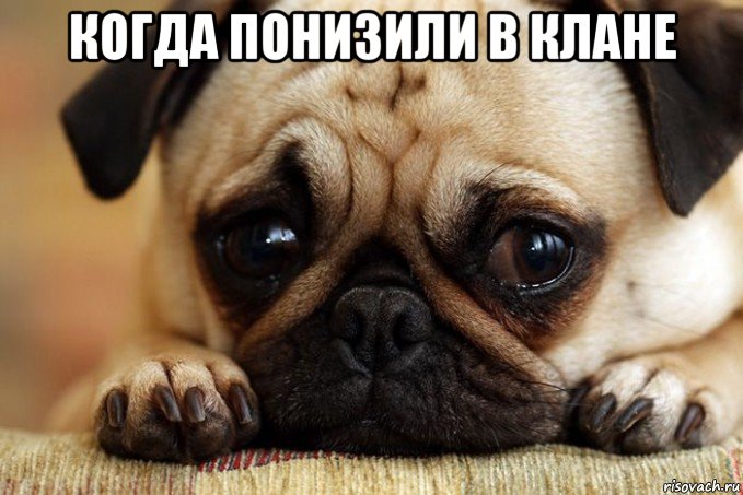 когда понизили в клане 
