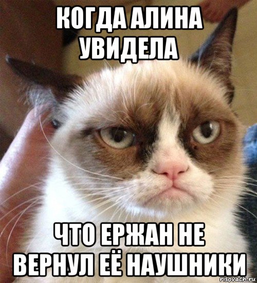 когда алина увидела что ержан не вернул её наушники, Мем Грустный (сварливый) кот