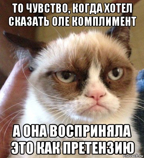 то чувство, когда хотел сказать оле комплимент а она восприняла это как претензию, Мем Грустный (сварливый) кот