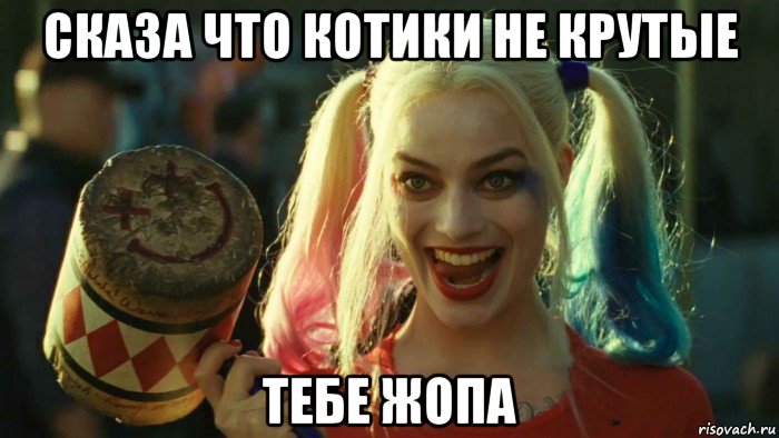 сказа что котики не крутые тебе жопа, Мем    Harley quinn