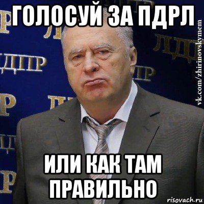 голосуй за пдрл или как там правильно, Мем Хватит это терпеть (Жириновский)