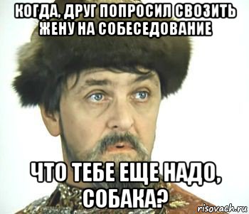 когда, друг попросил свозить жену на собеседование что тебе еще надо, собака?