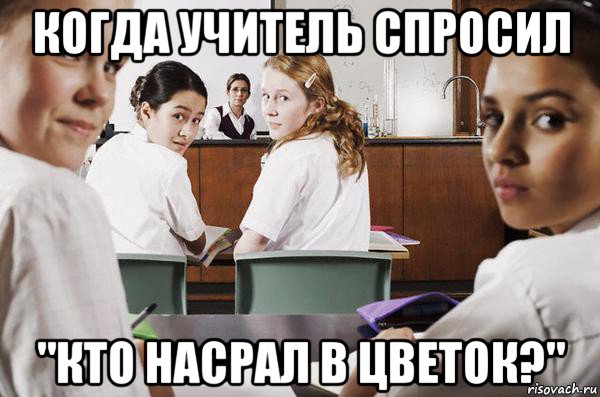 когда учитель спросил "кто насрал в цветок?", Мем В классе все смотрят на тебя